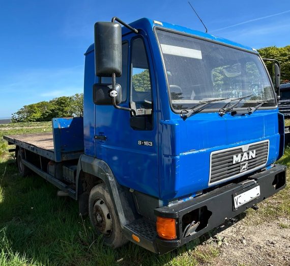 1999 8.163 Export